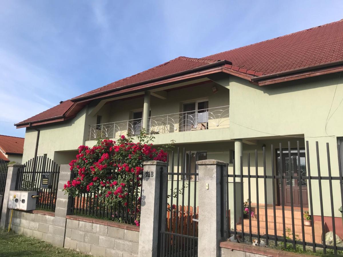 Casa Vio Villa Timişoara Buitenkant foto