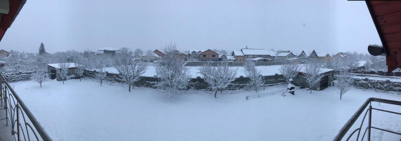 Casa Vio Villa Timişoara Buitenkant foto