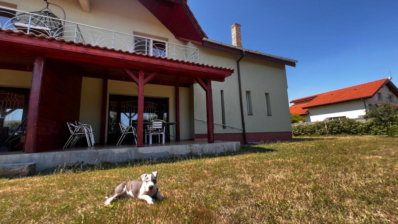 Casa Vio Villa Timişoara Buitenkant foto