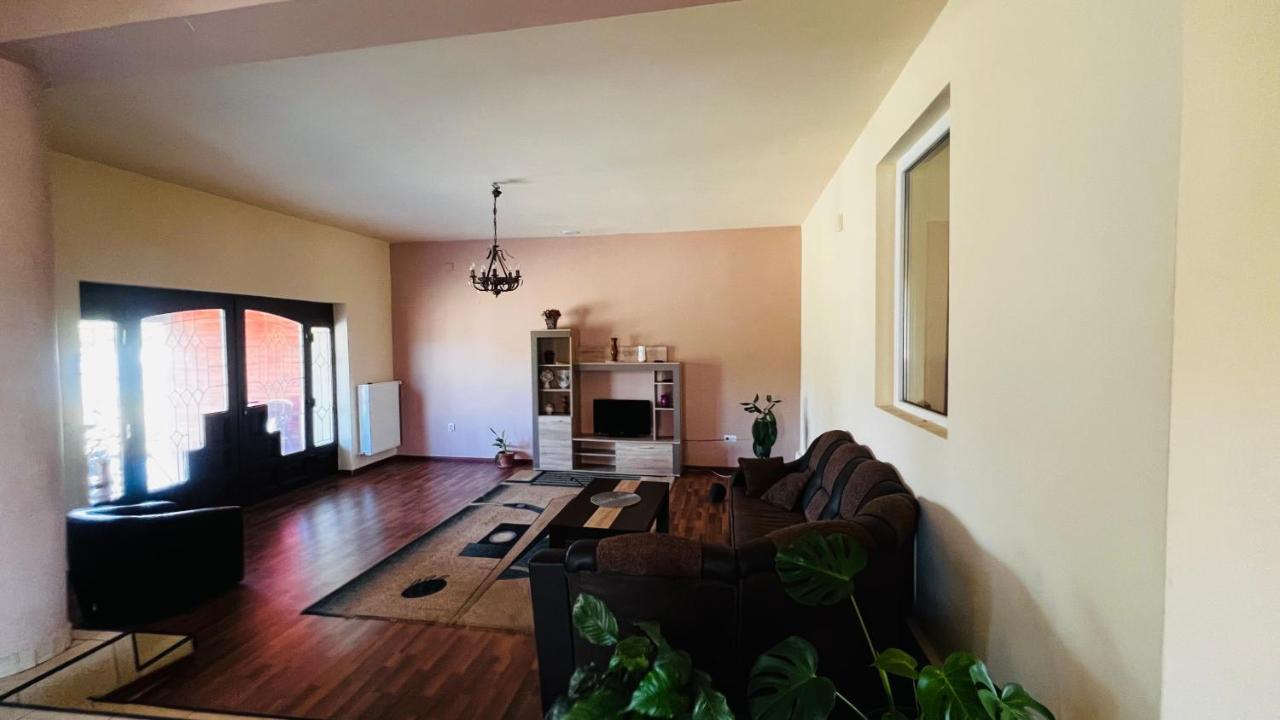 Casa Vio Villa Timişoara Buitenkant foto