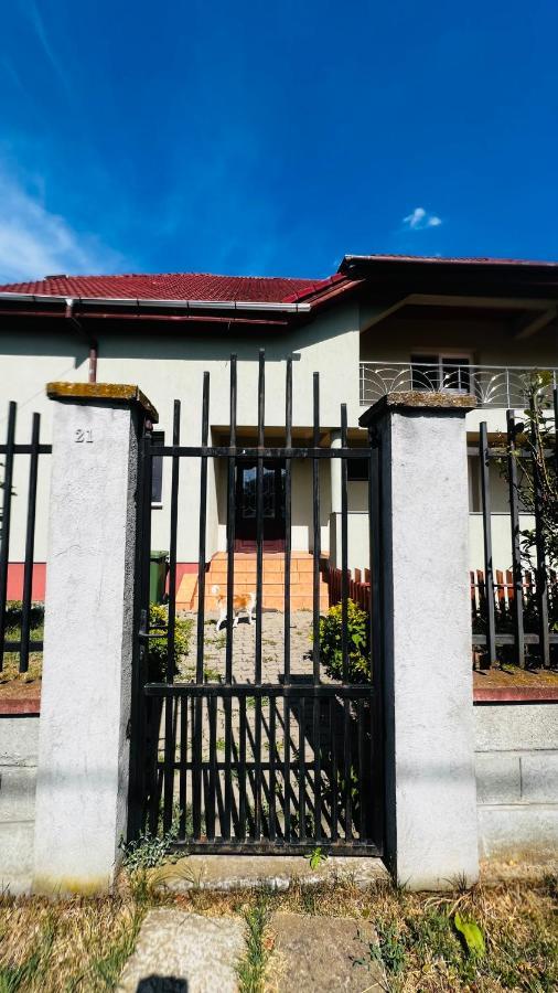 Casa Vio Villa Timişoara Buitenkant foto