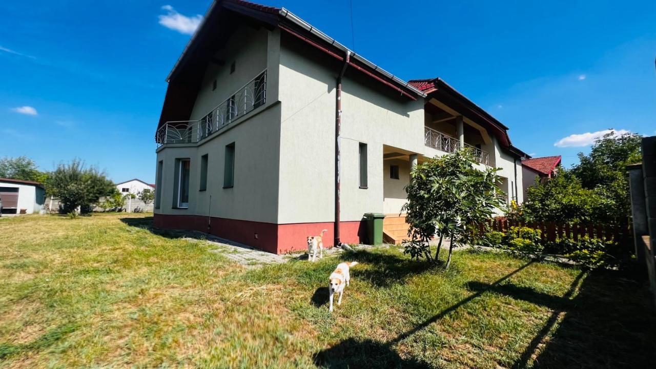 Casa Vio Villa Timişoara Buitenkant foto