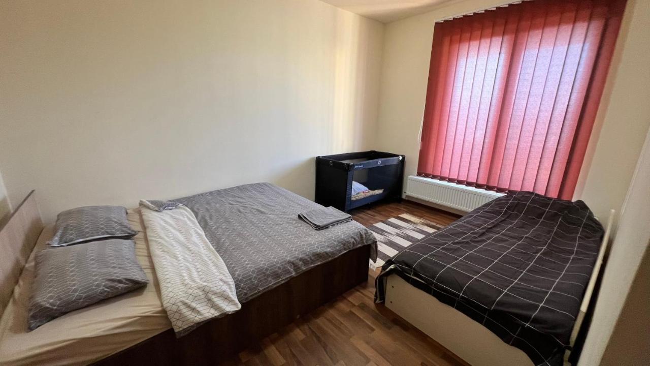 Casa Vio Villa Timişoara Buitenkant foto