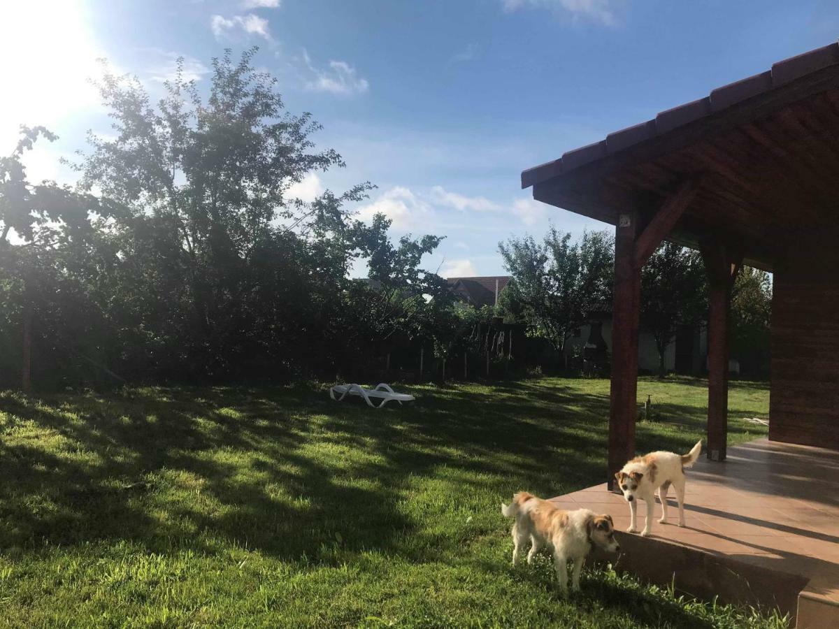 Casa Vio Villa Timişoara Buitenkant foto