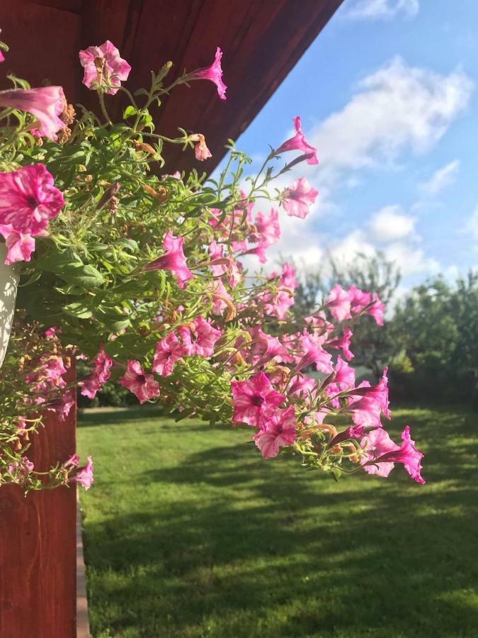 Casa Vio Villa Timişoara Buitenkant foto