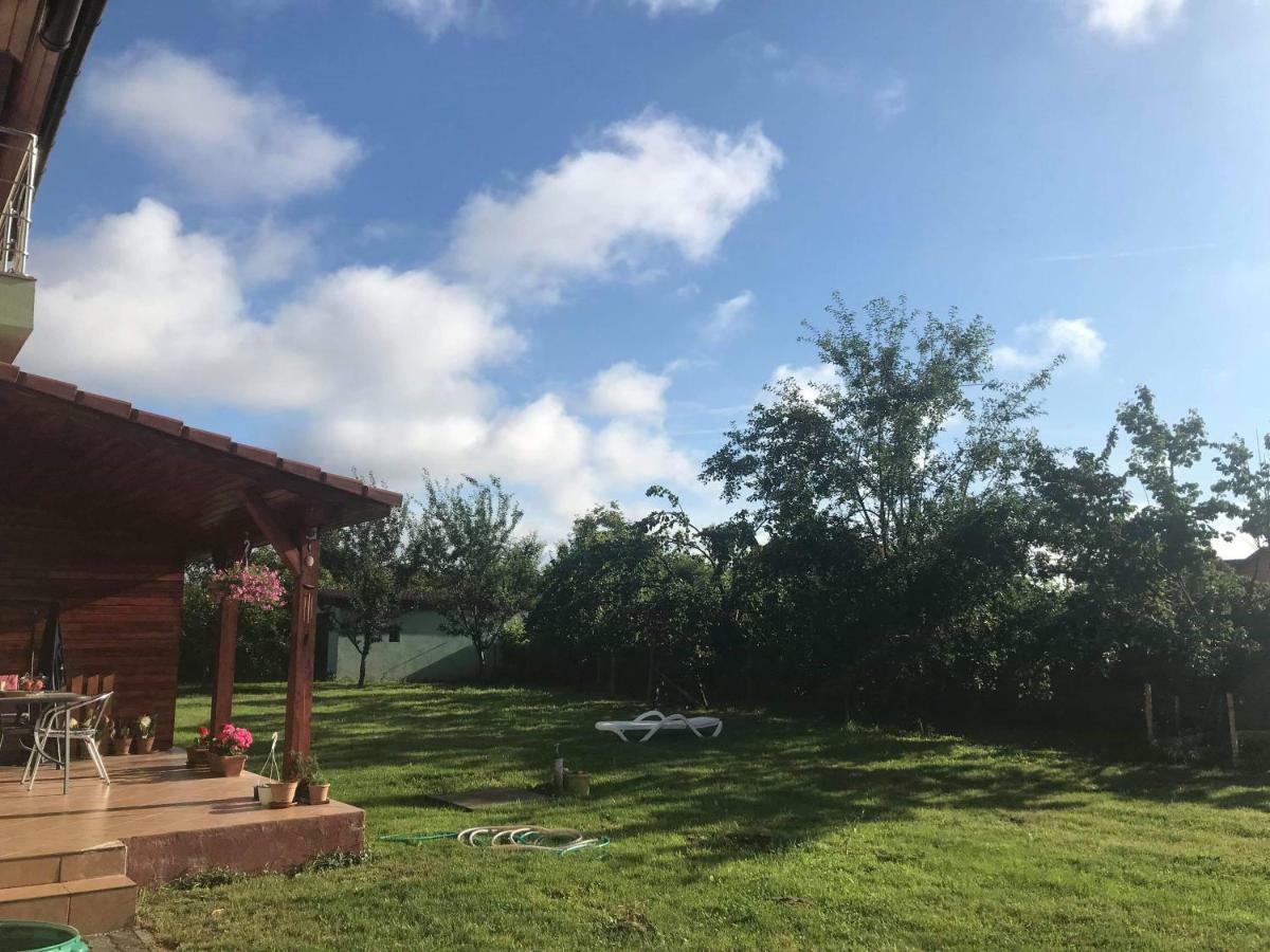 Casa Vio Villa Timişoara Buitenkant foto